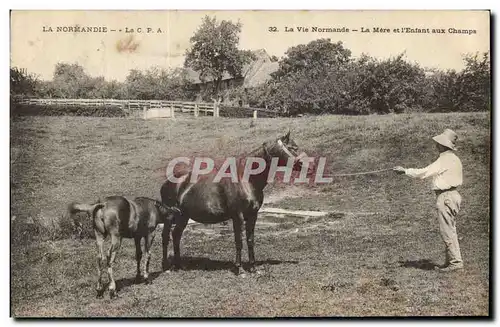 Cartes postales Folklore Normandie La mere et l&#39enfant aux champs Cheal