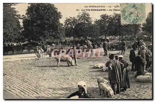 Cartes postales Folklore Normandie Au champ de foire Cochon Porc