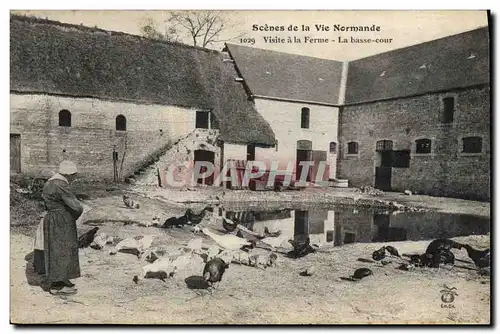 Cartes postales Folklore Normandie Visite a la ferme La basse cour