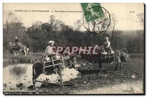 Ansichtskarte AK Folklore Normandie Servantes Ane Mule