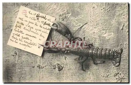 Cartes postales Homard