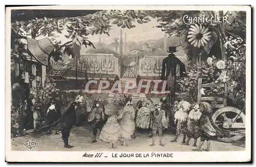 Cartes postales Theatre Rostand Coq Chantecler Le jour de la pintade