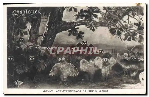 Cartes postales Theatre Rostand Coq Chantecler Les nocturnes L&#39ode a la nuit Chouette Hibou