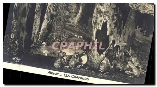 Cartes postales Theatre Rostand Coq Chantecler Les crapauds