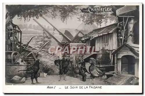 Cartes postales Theatre Rostand Coq Chantecler le soir de la faisane