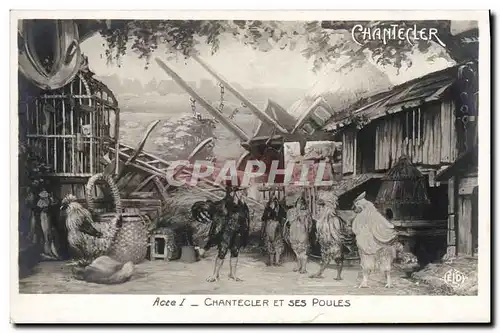 Cartes postales Theatre Rostand Coq Chantecler et ses poules