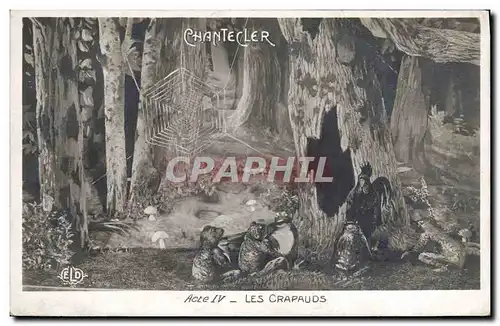 Cartes postales Theatre Rostand Coq Chantecler Les crapauds