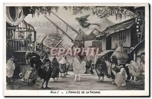 Cartes postales Theatre Rostand Coq Chantecler L&#39arrivee de la faisane