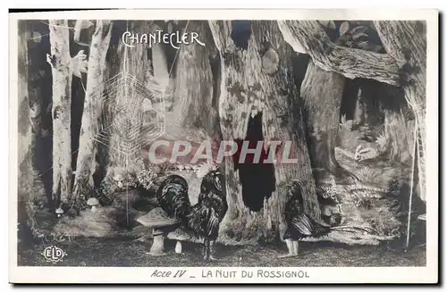 Cartes postales Theatre Rostand Coq Chantecler La nuit du rossignol Champignon