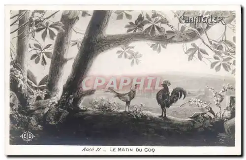 Cartes postales Theatre Rostand Coq Chantecler Le matin du coq
