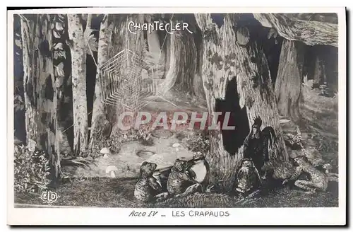 Cartes postales Theatre Rostand Coq Chantecler Les crapauds