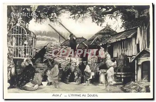 Cartes postales Theatre Rostand Coq Chantecler L&#39hymne au soleil