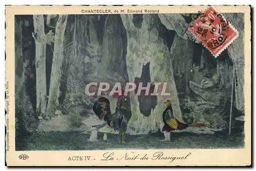 Cartes postales Theatre Rostand Coq Chantecler La nuit du rossignol