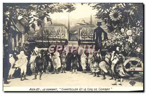Cartes postales Theatre Rostand Coq Chantecler et le coq de combat