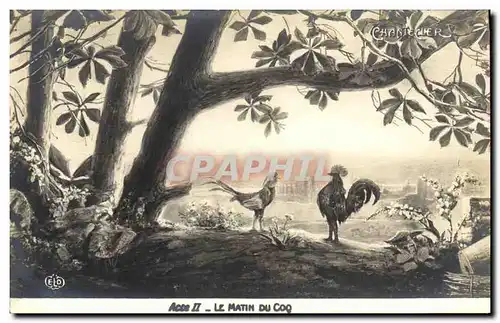 Cartes postales Theatre Rostand Coq Chantecler Le matin du coq
