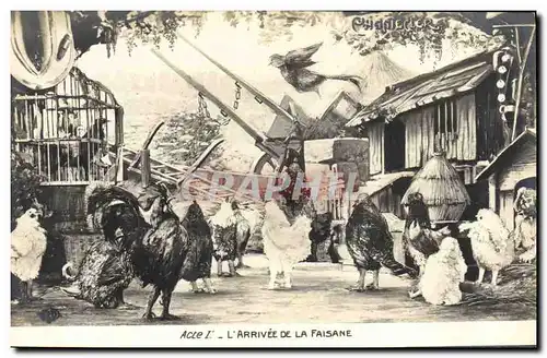 Cartes postales Theatre Rostand Coq Chantecler L&#39arrivee de la faisane