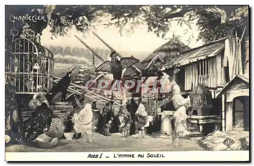 Cartes postales Theatre Rostand Coq Chantecler L&#39hymne au soleil