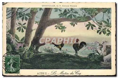Cartes postales Theatre Rostand Coq Chantecler Le matin du coq