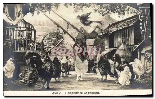 Cartes postales Theatre Rostand Coq Chantecler L&#39arrivee de la faisane