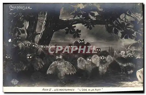 Cartes postales Theatre Rostand Coq Chantecler Les nocturnes L&#39ode a la nuit