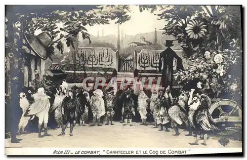 Cartes postales Theatre Rostand Coq Chantecler et le coq de combat