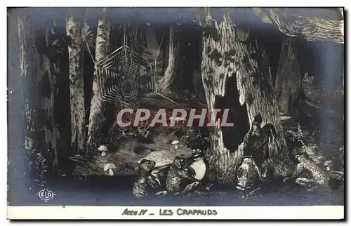 Cartes postales Theatre Rostand Coq Chantecler Les crapauds champignon