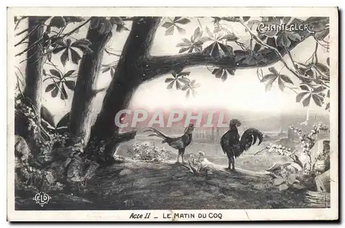 Cartes postales Theatre Rostand Coq Chantecler Le matin du coq