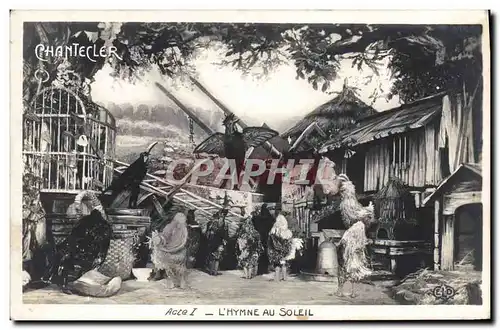 Cartes postales Theatre Rostand Coq Chantecler L&#39hymne au soleil