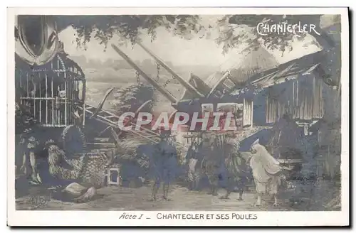 Cartes postales Theatre Rostand Coq Chantecler et ses poules