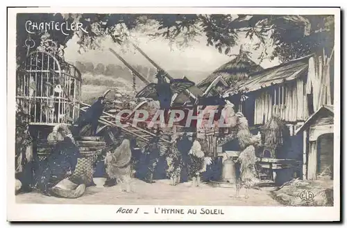 Cartes postales Theatre Rostand Coq Chantecler L&#39hymne au soleil