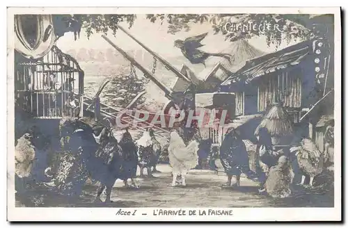 Cartes postales Theatre Rostand Coq Chantecler L&#39arrivee de la faisane