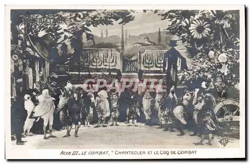 Cartes postales Theatre Rostand Coq Chantecler et le coq de combat