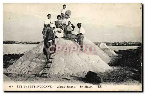 Ansichtskarte AK Marais salants Un Mulan Les Sables d&#39Olonne