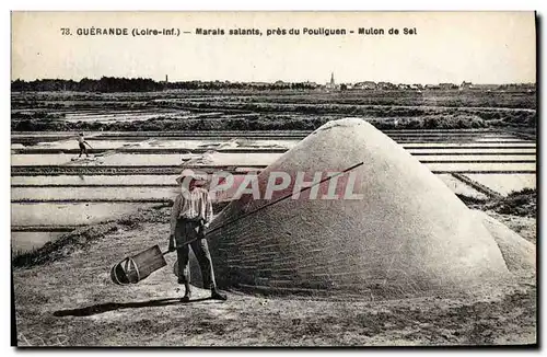 Cartes postales Marais salants pres du Pouliguen Mlon de Sel Guerande