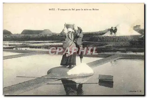 Cartes postales Marais salants Batz Transport du sel pour la mise en Mulon