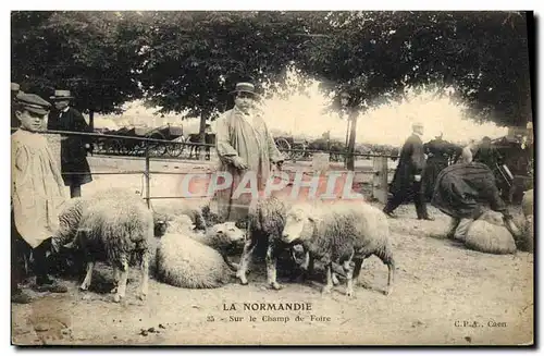 Ansichtskarte AK Folklore Normandie Sur le champ de foire Moutons