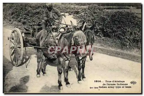 Ansichtskarte AK Militaria Type d&#39attelage de l&#39armee indienne Ane Mule