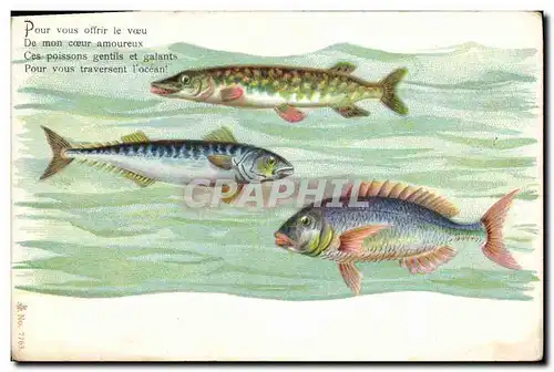 Cartes postales Poisson Poissons