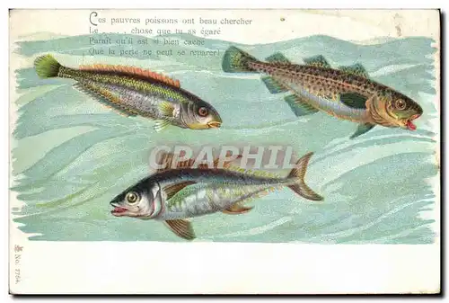 Cartes postales Poisson Poissons