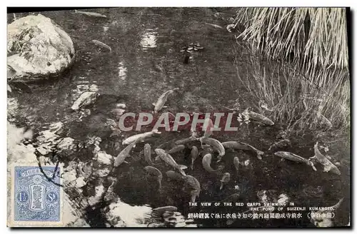 Cartes postales Poisson Poissons The pond of Suizeki Kumanoto Japon Nippon