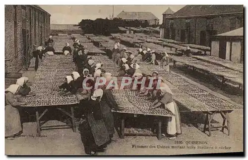 Cartes postales Poisson Poissons Quiberon Femmes des usines mettant leurs sardines a secher Peche