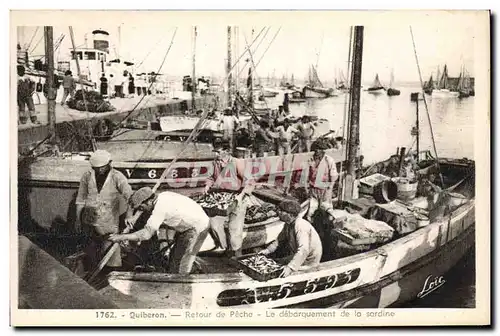 Cartes postales Poisson Poissons Quiberon Retour de peche Le debarquement de la sardine