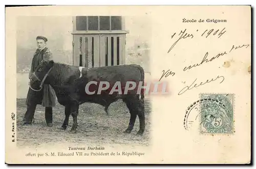 Cartes postales Vaches Vache Genisse Durham SM Edouard VII President de la republique Ecole de Grignon