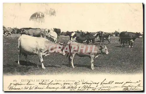 Cartes postales Vaches Vache Environs de Vichy Vaches au paturage
