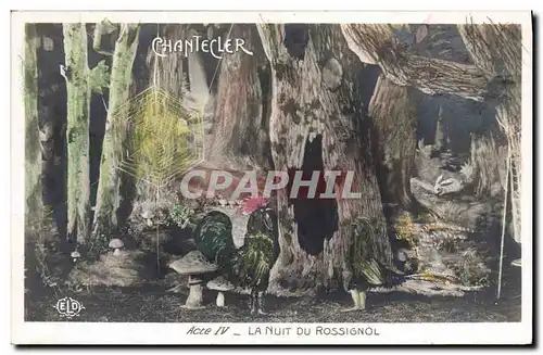 Cartes postales Theatre Edmond Rostand Chantecler La nuit du Rossignol