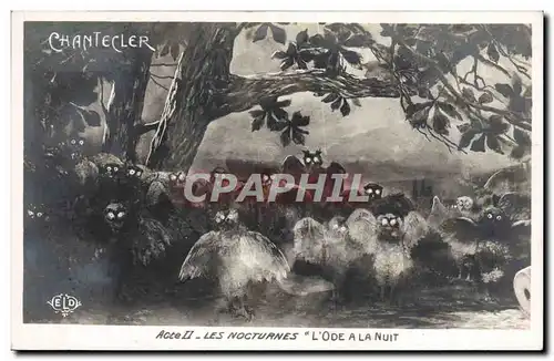 Cartes postales Theatre Edmond Rostand Chantecler Les nocturnes L&#39ode a la nuit Chouette Hibou