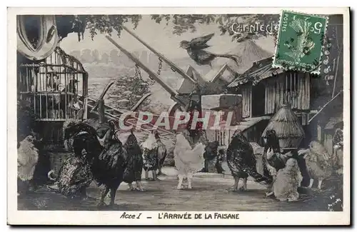 Cartes postales Theatre Edmond Rostand Chantecler L&#39arrivee de la faisane