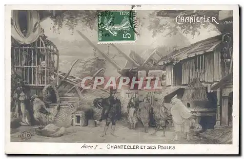 Cartes postales Theatre Edmond Rostand Chantecler et ses poules