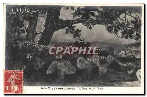 Cartes postales Theatre Edmond Rostand Chantecler L&#39ode a la nuit Chouette Hibou