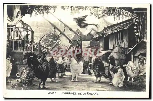 Cartes postales Theatre Edmond Rostand Chantecler L&#39arrivee de la faisane